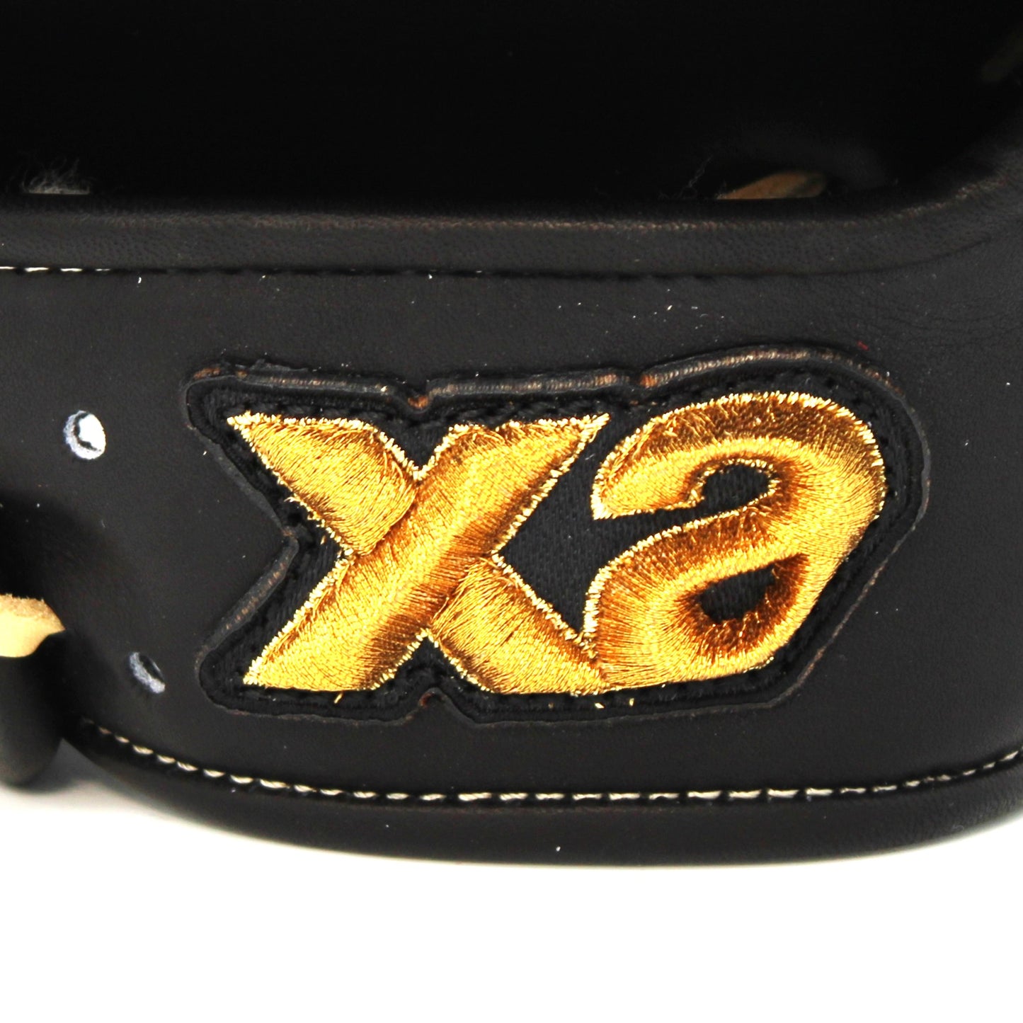 【Xanax】  TRUST X　限定　硬式用グラブ　外野手用　0S1型